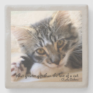 Zorro Kitten by Window Stone Gray Untersetzer