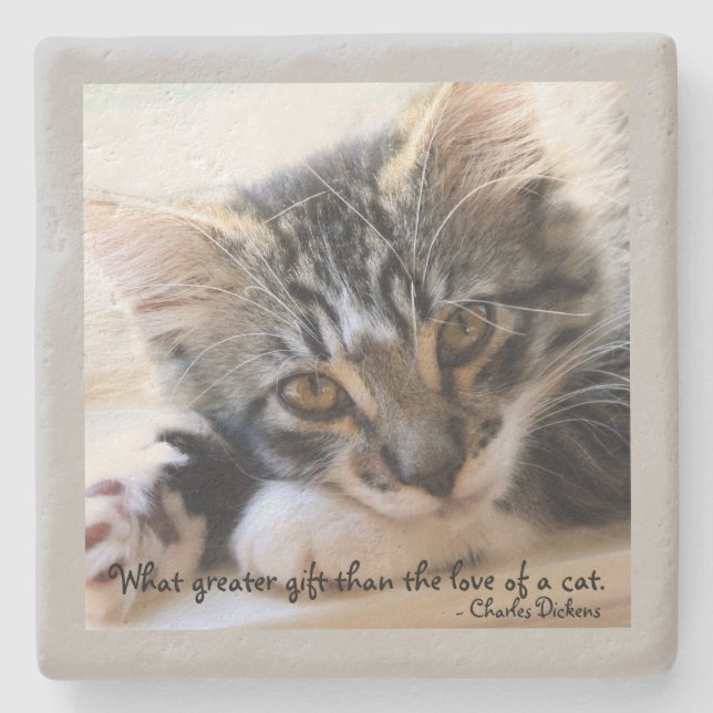 Zorro Kitten by Window Stone Gray Untersetzer (Vorderseite)