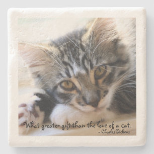 Zorro Kitten by Window Stone Untersetzer