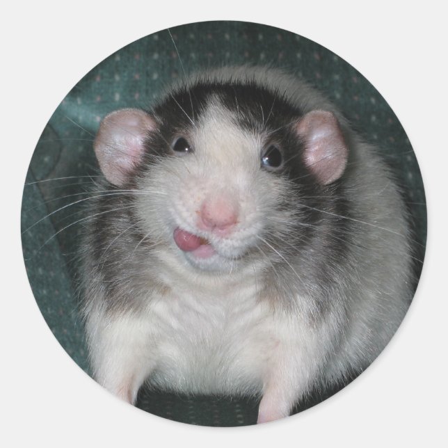 Zorro Runder Aufkleber (Vorderseite)