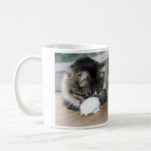 Zorro Shy Kitty Mug