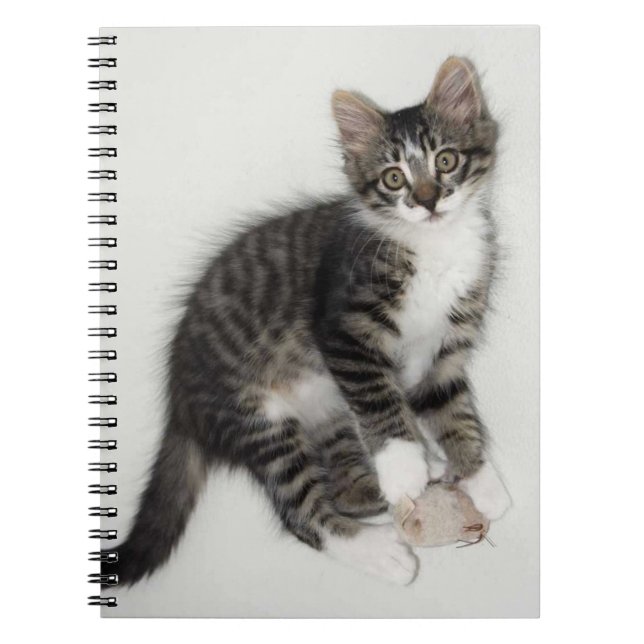 Zorro und sein Mouse-Notebook Notizblock (Vorderseite)