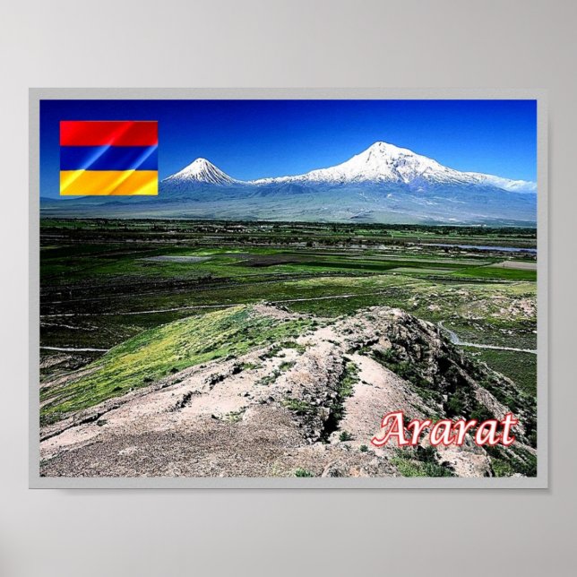 ZPC-AM008 POSTER (Vorne)