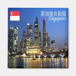 zSG013 SINGAPUR Skyline Abend  LION CITY Kühlschra Magnet