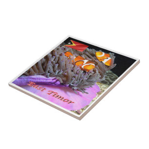 zTL009 ANEMONENFISCH aus Osttimor, Asien, Fliese
