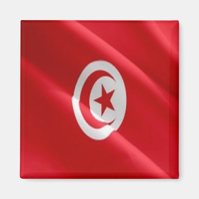 zTN002 TUNISIA, Waving Flag, Afrika, Kühlschrank Magnet (Vorne)