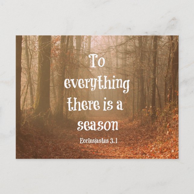 Zu allem gibt es eine Saison Bibel Verse Postkarte (Vorderseite)