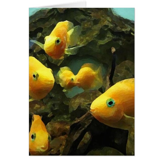 Zu cool für den Schulfisch-Aufzug (in Paint) (Vorne)