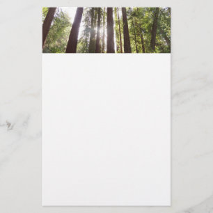 Zu den Redwoods am Morgen Briefpapier