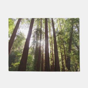 Zu den Redwoods am Morgen Fußmatte