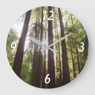 Zu den Redwoods am Morgen Große Wanduhr