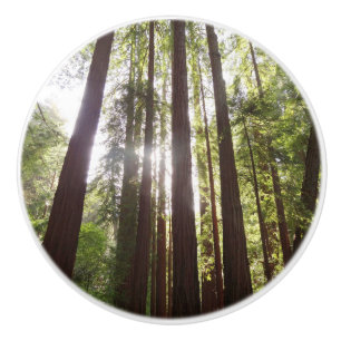 Zu den Redwoods am Morgen Keramikknauf