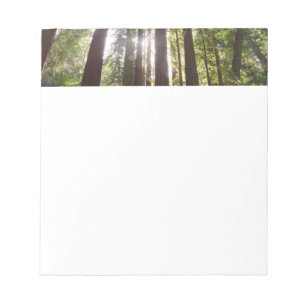 Zu den Redwoods am Morgen Notizblock