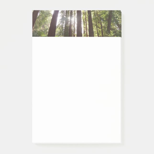 Zu den Redwoods am Morgen Post-it Klebezettel (Vorderseite)