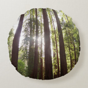 Zu den Redwoods am Morgen Rundes Kissen