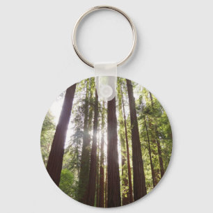 Zu den Redwoods am Morgen Schlüsselanhänger