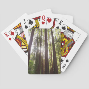Zu den Redwoods am Morgen Spielkarten