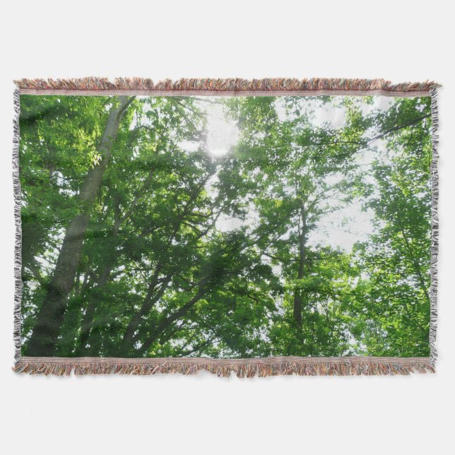 Zu den Sommerbäumen aufblicken Decke (Vorderseite)