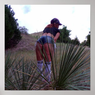 Zu den Yucca-Pflanze Poster