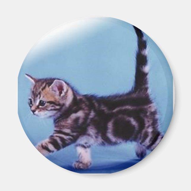 zu Fuß%20kitten%20RC%20Deutschland Magnet (Vorne)
