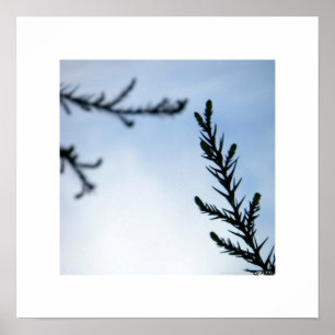 Zu Ihnen/zur inspirierend Natur heraus erreichen Poster