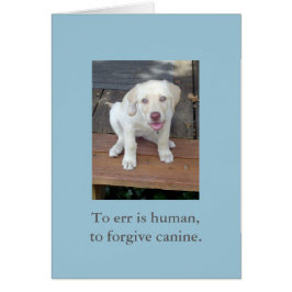 Zu Irrtum ist menschlich, zu verzeihen, Canine Wel