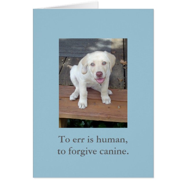 Zu Irrtum ist menschlich, zu verzeihen, Canine Wel (Vorne)