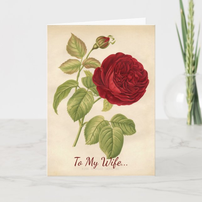 Zu meiner Ehefrau Valentine Feiertagskarte (Vorderseite)