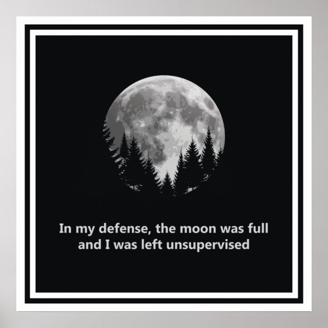 Zu meiner Verteidigung war der Mond voll Poster (Vorne)
