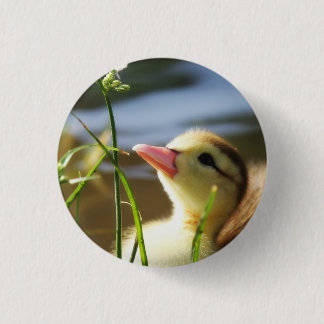 ZU NIEDLICH!!!!!! BUTTON