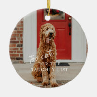 Zu Niedlich für die Naughty List Haustier Ornament
