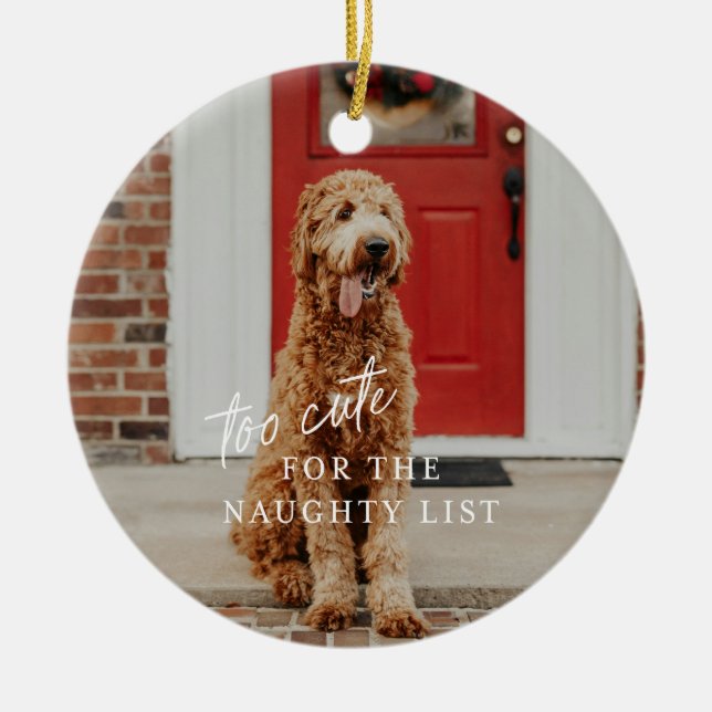 Zu Niedlich für die Naughty List Haustier Ornament (Vorne)