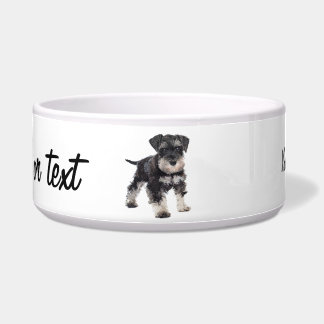 Zu Niedlicher Welpe Miniatur Schnauzer Hund Napf