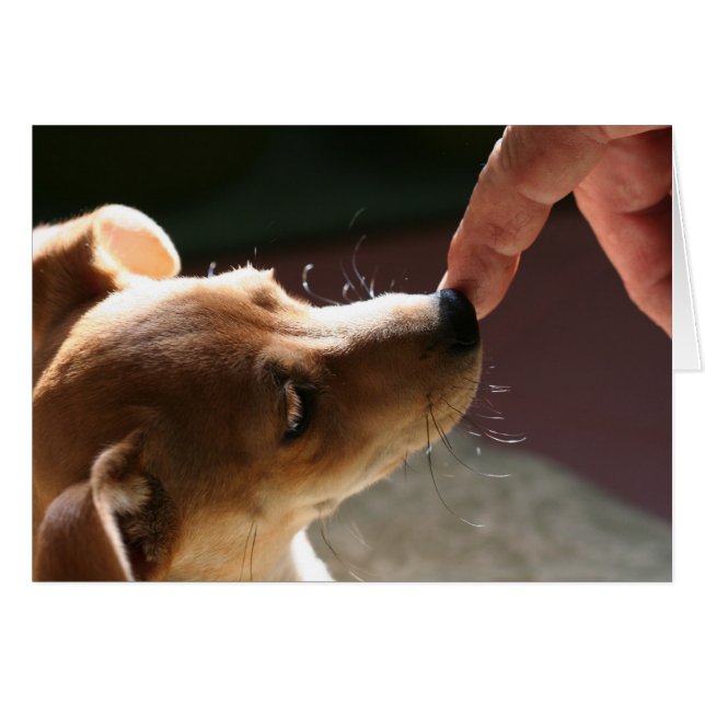 Zu ohne einen Hund sein… (Vorderseite (Horizontal))