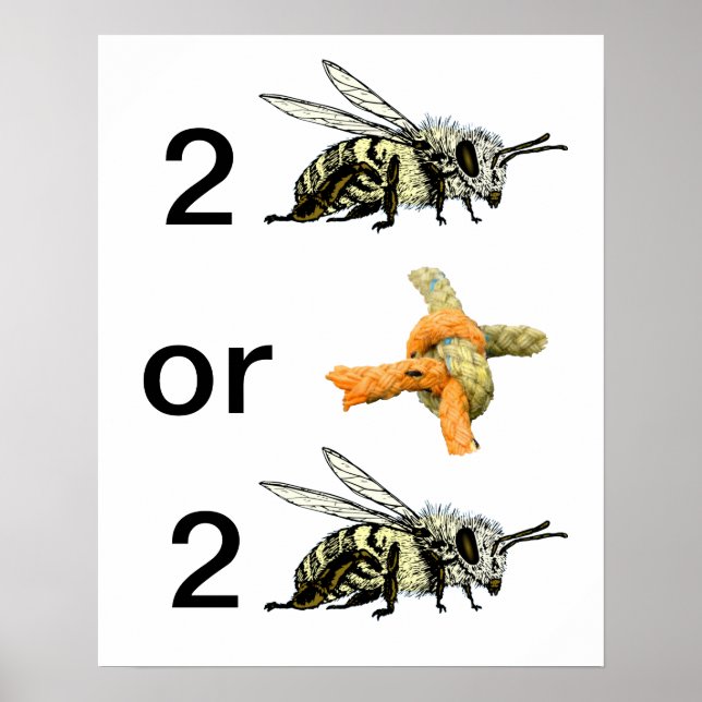 Zu sein oder nicht poster (Vorne)