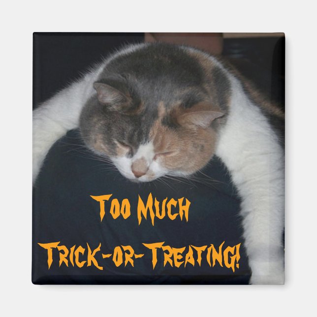 Zu viel Trick-or-Treating! Magnet (Vorne)