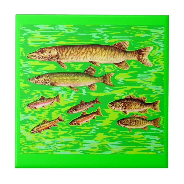 zu viele Fische im Meer Fliese (Vorderseite)