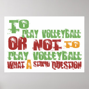 Zu Volleyball spielen Poster