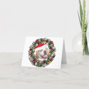 Zu Weihnachten - Bulldog