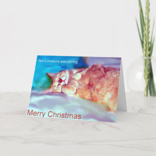 zu Weihnachten gewartet