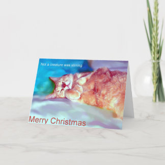 zu Weihnachten gewartet