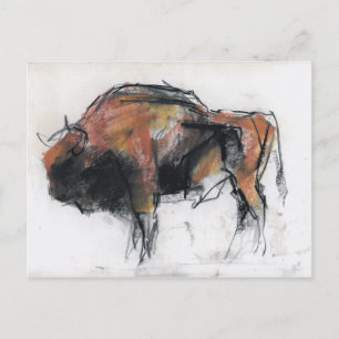 Zubre Bialowieza Postkarte