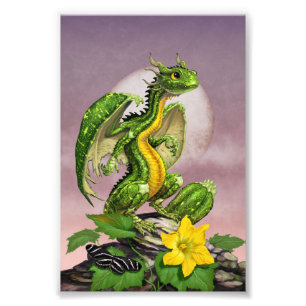 Zucchini Dragon 4x6 Print Fotodruck