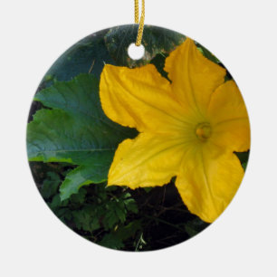 Zucchini-Kürbis-Blüte - Fotografie Keramik Ornament