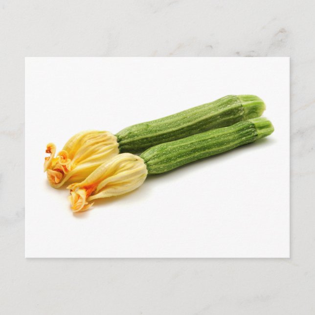 Zucchini Postkarte (Vorderseite)