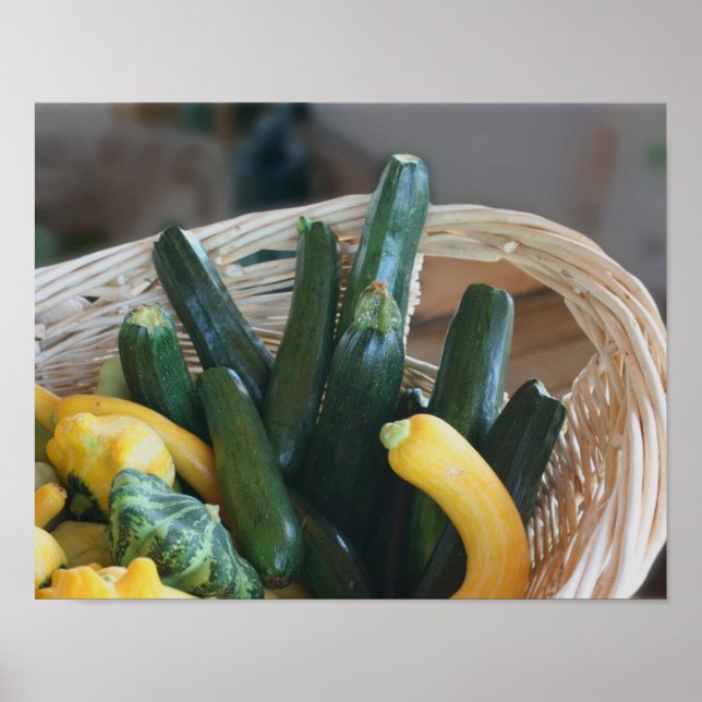 Zucchini Sommer Squash Gourds Gemüse Poster (Vorne)