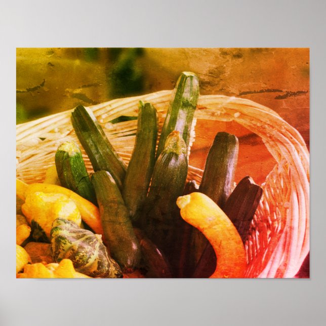 Zucchini Summer Squash Gourds Gemüse Vintag Poster (Vorne)