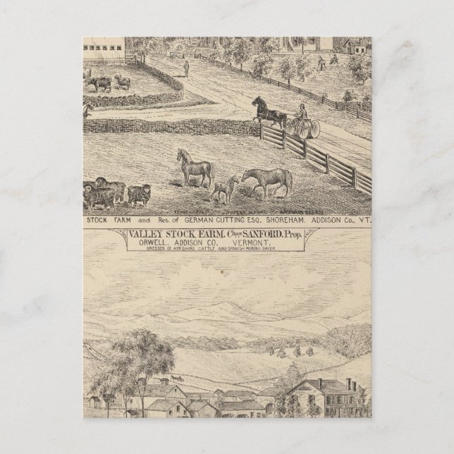 Zuchtbetrieb und Wohnsitz in Shoreham Postkarte (Vorderseite)