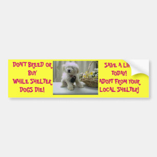 ZÜCHTEN SIE NICHT ODER KAUFEN SIE! ADOPTIEREN Sie Autoaufkleber