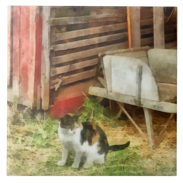 Zuchtkatze Fliese (Vorderseite)